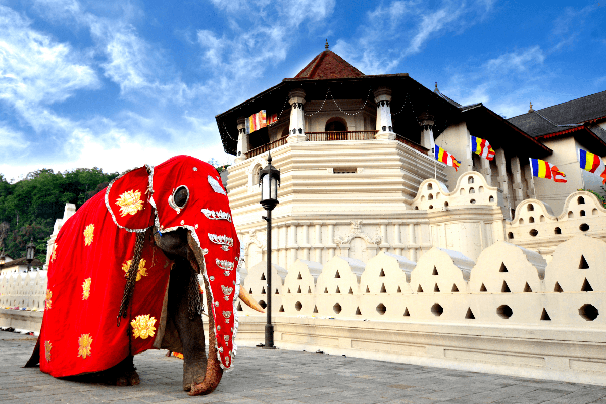 Kandy lake temple and hill-country scenery on a 5-day private Sri Lanka adventure with Xclusive Adventures