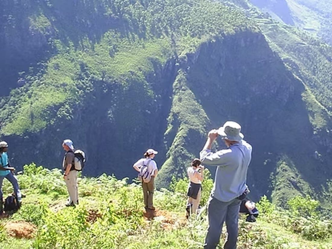 Guided rainforest trek through Kitulgala's jungle trails and river valleys with Xclusive Adventures, Sri Lanka
